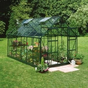 Image of BQ Metal 8x10 Horticultural glass greenhouse