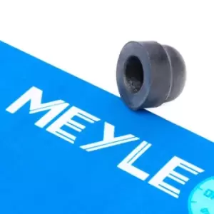 Image of MEYLE Plug, brake fluid reservoir MERCEDES-BENZ 014 043 0050 0004319087,A0004319087