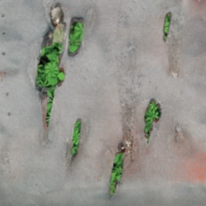 Image of Agor CD / Album