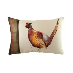 Image of Evans Lichfield Hunter Pheasant Cushion Cover (43cm x 43cm) (Multicoloured)