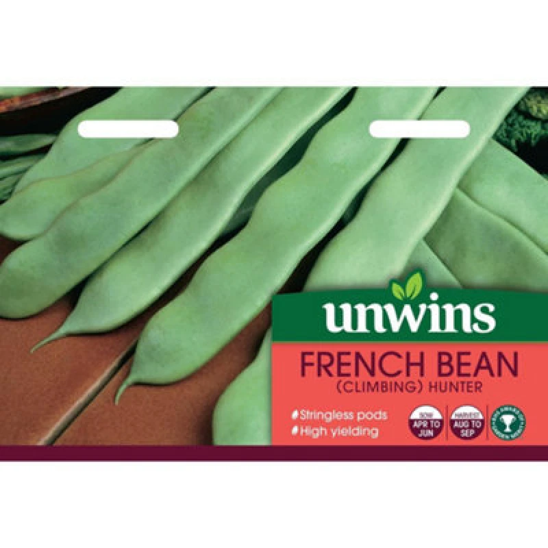 Image of Unwins French Bean (Climbing) Hunter