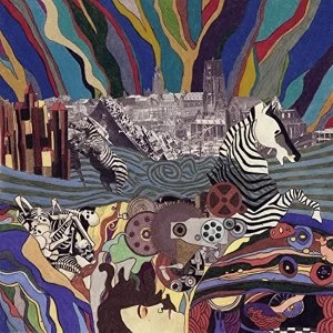 Image of Rats On Rafts - Tape Hiss Vinyl