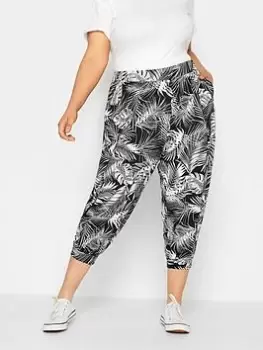Image of Yours Crop Harem Leaf, Black, Size 22-24, Women