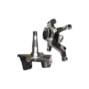 Image of NTY Steering Knuckle Rear Axle Right ZZT-BM-001 Stub Axle, wheel suspension BMW,3 Touring (E91),3 Limousine (E90),3 Coupe (E92),3 Cabrio (E93)