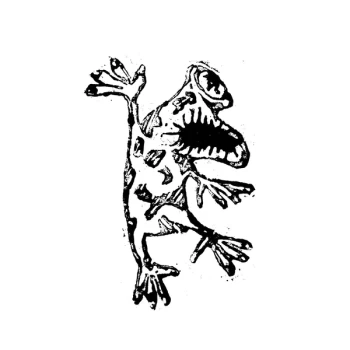 Image of Ulrich Troyer - NOK 2020 Vinyl