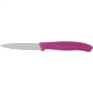 Image of Victorinox 6.7636.L115 Vegetable knife Swiss Classic Pink