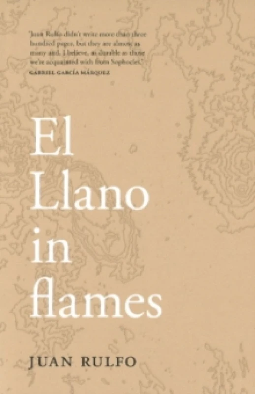 Image of El Llano in flames Paperback / softback