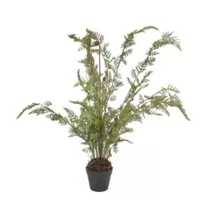 Image of Large Tall Black Potted Fern