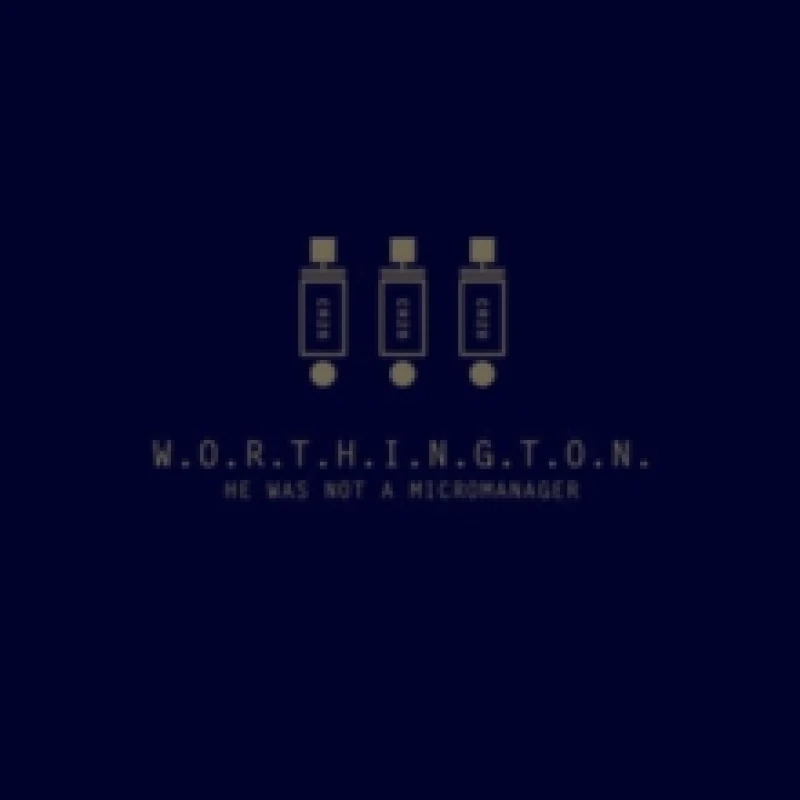 Image of He was not a micromanager Vinyl