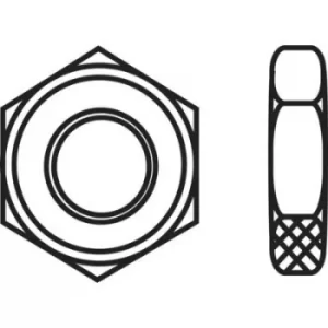 Image of TOOLCRAFT 827821 Hexagonal nuts M5 DIN 439 Steel zinc plated 100 pc(s)
