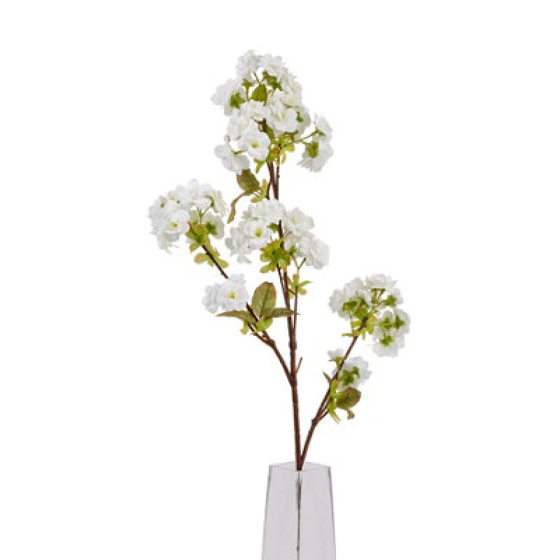 Image of Tall White Blossom