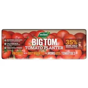 Image of Westland Big Tom Tomato Planter
