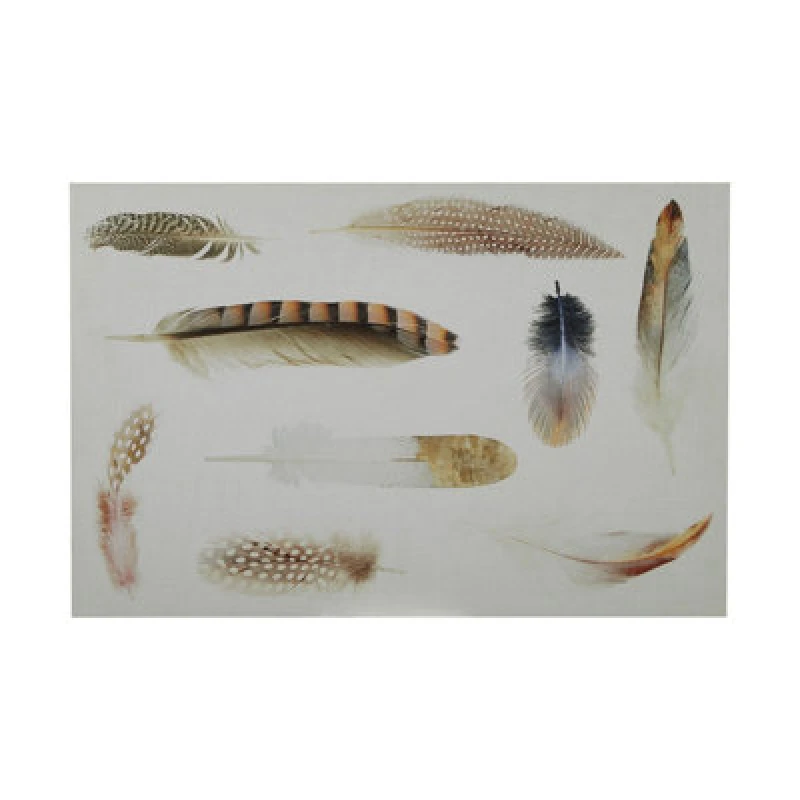 Image of Premier Housewares Feather Wall Plaque Home Wall Decor White