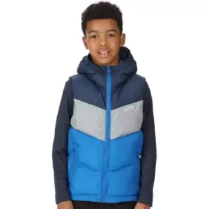 Image of Regatta Boys Lofthouse Water Repellent Body Warmer Gilet 9-10 Years - Chest 69-73cm (Height 135-140cm)