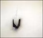 Image of snow borne sorrow