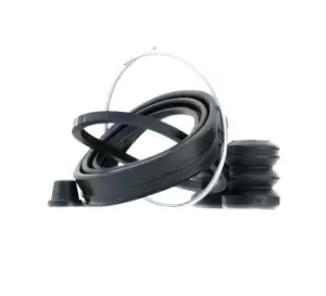 Image of FRENKIT Brake Caliper Repair Kit RENAULT,SEAT,PEUGEOT 248018 9945784,442756,444877 95658559,9945784,41120V0325,41120V0325,442756,444877,95658559