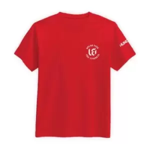 Image of New Balance Welsh Fire T-Shirt Junior Boys - Red