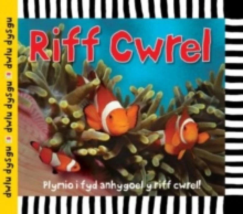 Image of Cyfres Dwlu Dysgu: Riff Cwrel Hardback