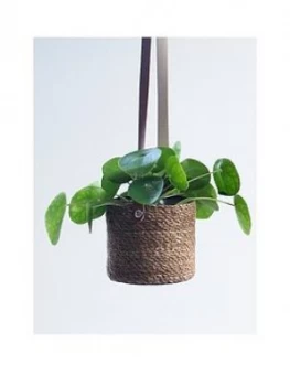 Image of Ivyline Set 2 Gallo Seagrass Lined Hanging Planters