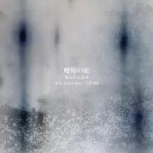 Image of Volume V Part II With A Qui Avec Gabriel by Majutsu no Niwa CD Album