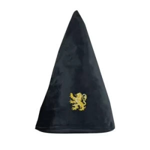 Image of Harry Potter Gryffindor Student Hat