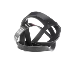 Image of RIDEX V-ribbed belt VW,MERCEDES-BENZ,BMW 305P0178 51768740,51780011,11288570646 53013352AC,0089972292,0089973892,0119972892,A0089972292,A0089973892