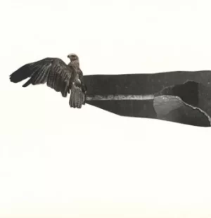 Image of Dreamboat by Dreamboat Vinyl Album