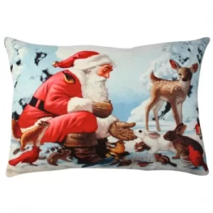 Image of A50912 Multicolor Cushion