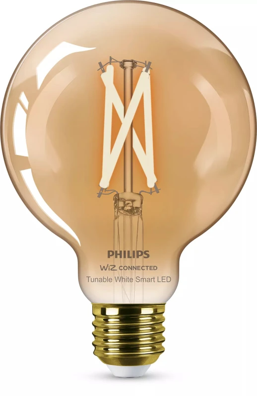 Image of Philips by Signify Philips Filament Globe amber 7W (Eq.50W) G95 E27 8719514372207
