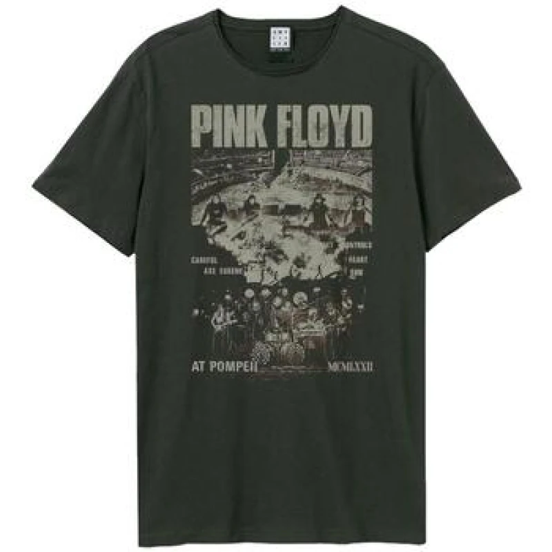 Image of Amplified Amplified Men Pompeii Careful Eugene Pink Floyd T-Shirt in Charcoal Size: X-Small Charcoal XS Male 5063806627845