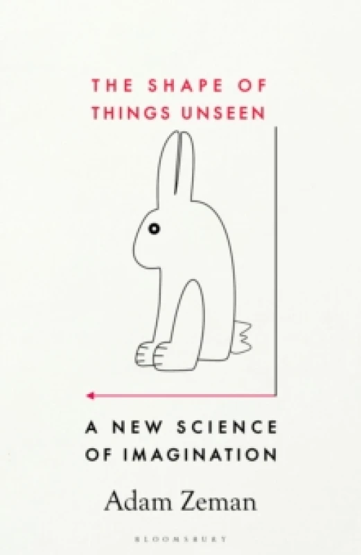 Image of The Shape of Things Unseen : A New Science of Imagination Hardback