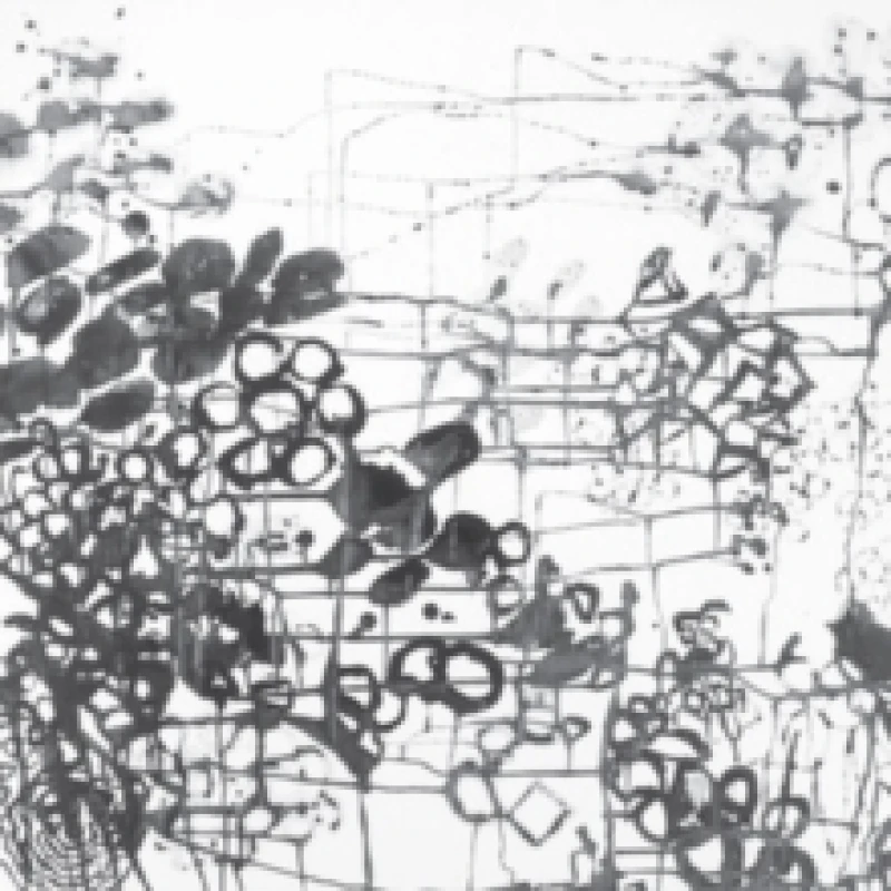 Image of Frank London - Brass Conspiracy [CD / Album] Music CDs - Music CD