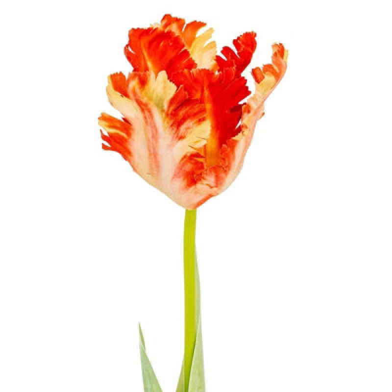 Image of Hill Interiors Parrot Tulip Artificial Flower Green/flame Orange (One Size)