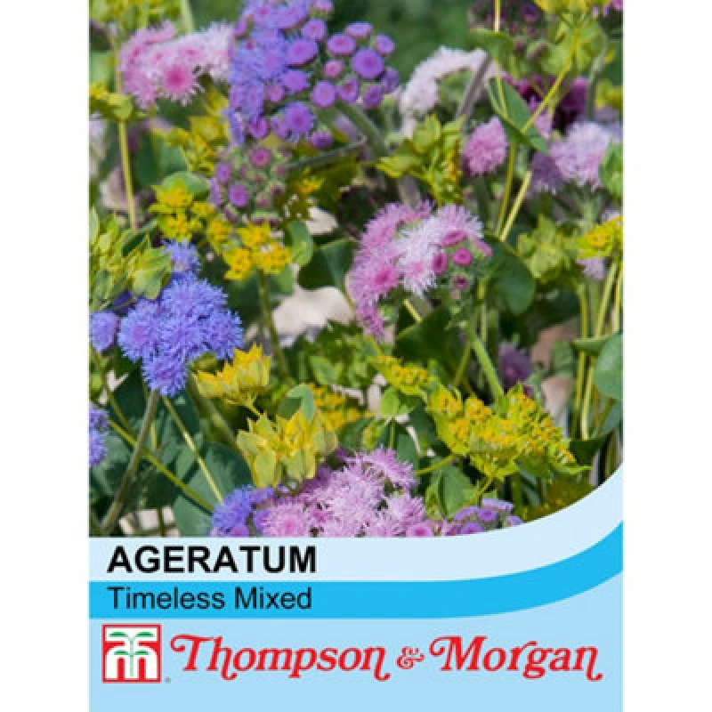 Image of Thompson & Morgan Ageratum Houstonianum Timeless Mixed 1 Seed Packet (100 Seeds)