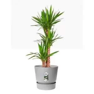 Image of Elho Greenville Round Pot & Base LIVING CONCRETE 30cm NWT7034