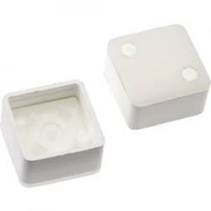 Image of Switch cap White Mentor 2271.1210
