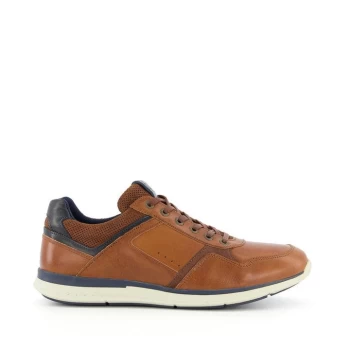 Image of Dune London Thymes Trainers - Tan 511