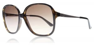 Image of Guess GU7462 Sunglasses Havana 52F 58mm