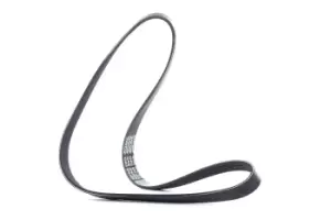 Image of DAYCO V-ribbed belt VW,AUDI,FIAT 6PK1076 036145933AJ,03L903137,11281725731 5750A2,5750J3,5750TH,9615208480,38920P5L003,38920P5L004,38920P5L505,5750A2