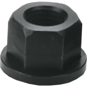 Image of FC04 M20 Flanged Nut