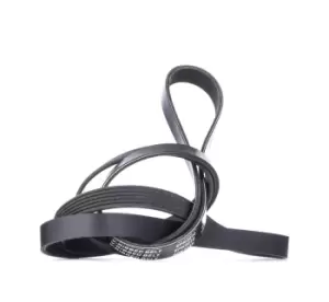 Image of RIDEX V-ribbed belt 305P0145 Serpentine belt,Auxiliary belt VW,MERCEDES-BENZ,FORD,Transporter IV Bus (70B, 70C, 7DB, 7DK, 70J, 70K, 7DC, 7DJ)