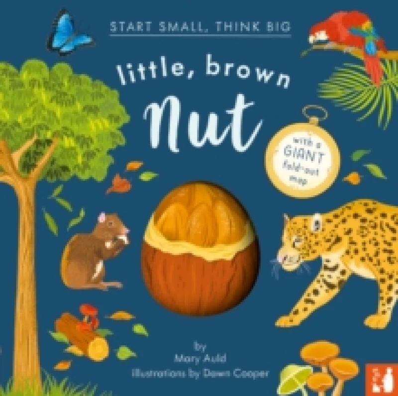Image of Little, Brown Nut : A fact-filled picture book about the life cycle of the Brazil nut tree, with fold-out map of the Amazon rainforest (ages 4-8) Hard