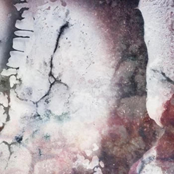 Image of Multicast Dynamics - Lp-Multicast Dynamics-Outer Envelopes Vinyl