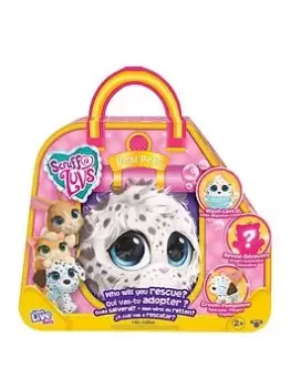 Image of Little Live Pets Scruff-A-Luvs: Real Pets