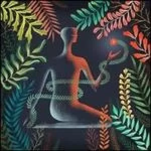 Image of dont shy away