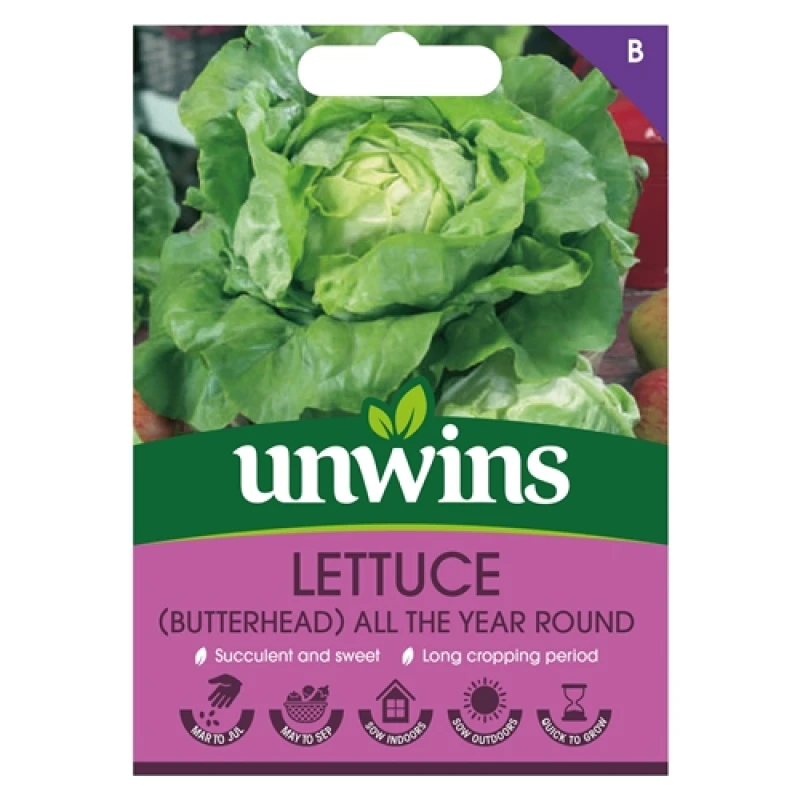 Image of Unwins Lettuce (Butterhead) All The Year Round