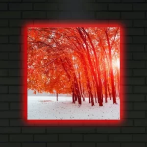 Image of 4040DACT-14 Multicolor Decorative LED Lighted Canvas Painting