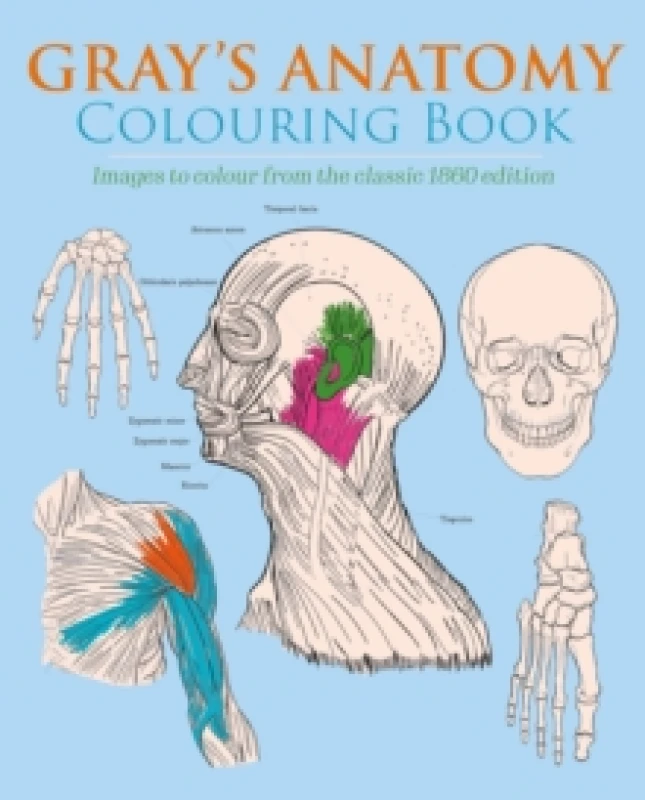 Image of Gray's Anatomy Colouring Book : Images to Colour from the Classic 1860 Edition Paperback / softback