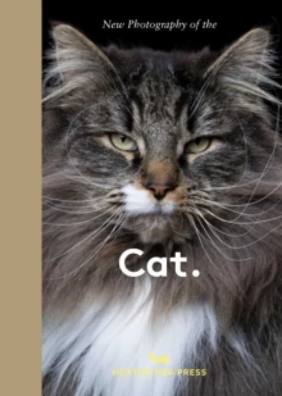 Image of New Photography of the Cat. : The best new photography of cats. Hardback
