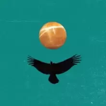 Image of Last of the Easy Riders